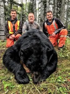 Saskatchewan Spring Black Bears