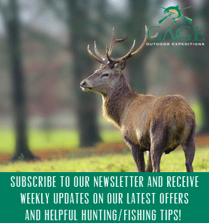 newsletter signup