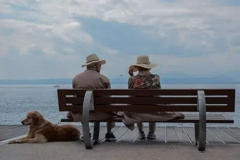 Raw Dog Food Diet from RAW WILD