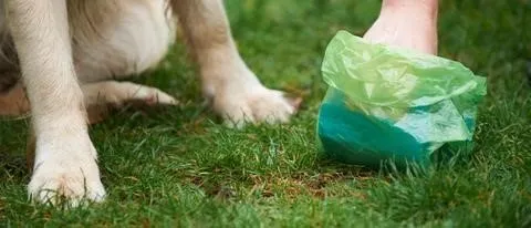 Raw Dog Food Diet from RAW WILD