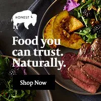 The Honest Bison The Honest Bison