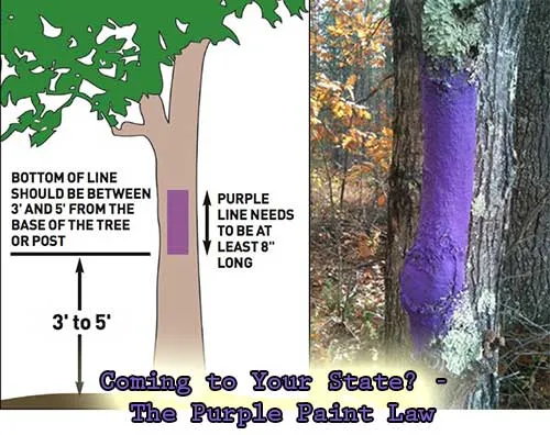 Purple paint law