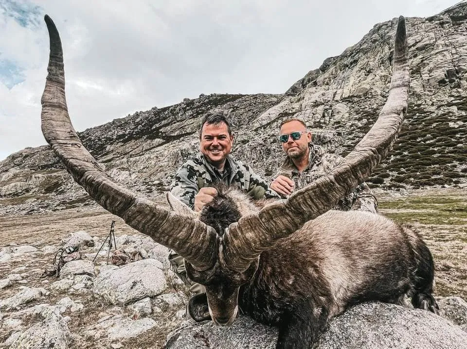 Ibex slam in Spain
