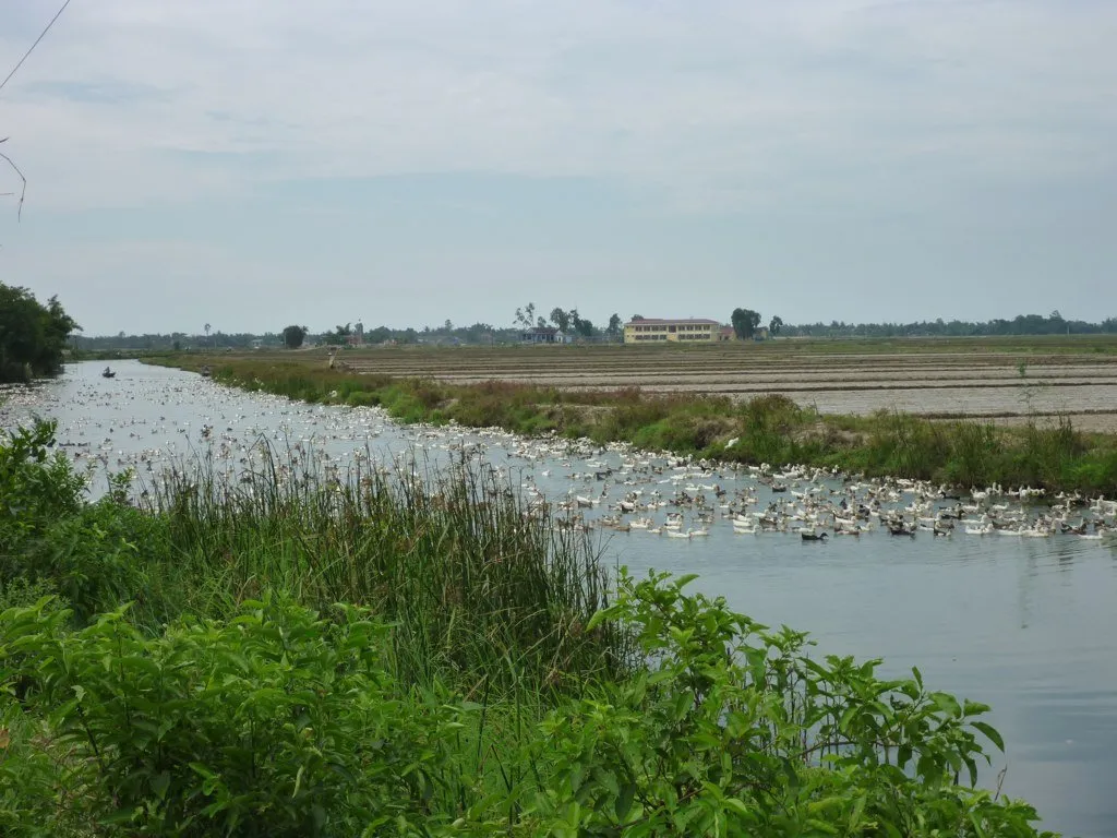 ARKANSAS DUCK AND GOOSE
