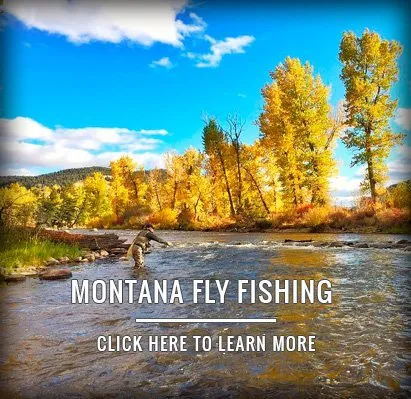 montana fly fishing event MONTANA FLY FISHING<br />