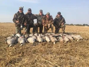 Alberta Goose Hunt
