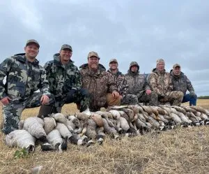 Alberta Goose Hunt