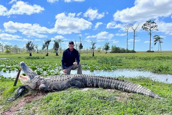 Florida Gator Hunting