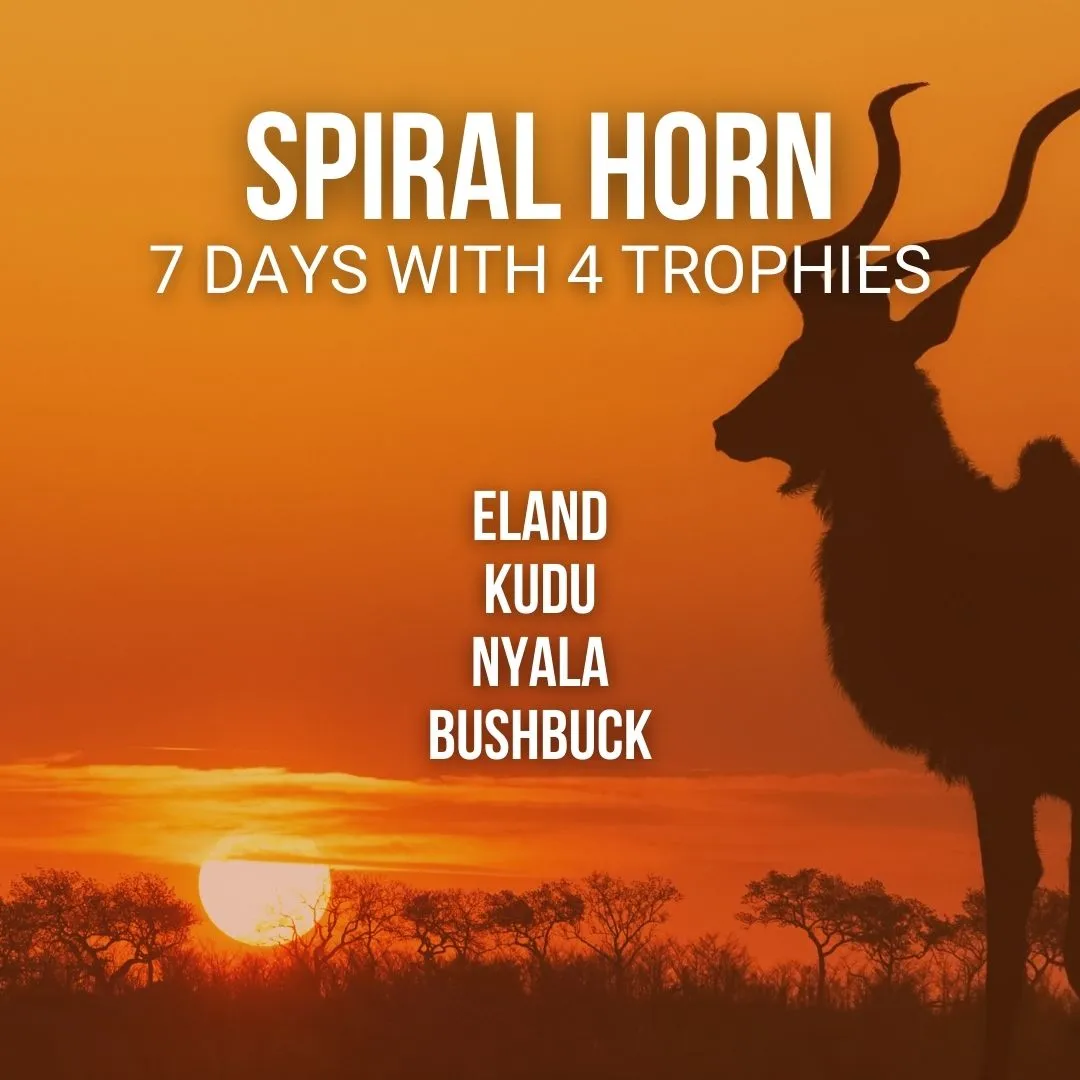 Spiral Horn