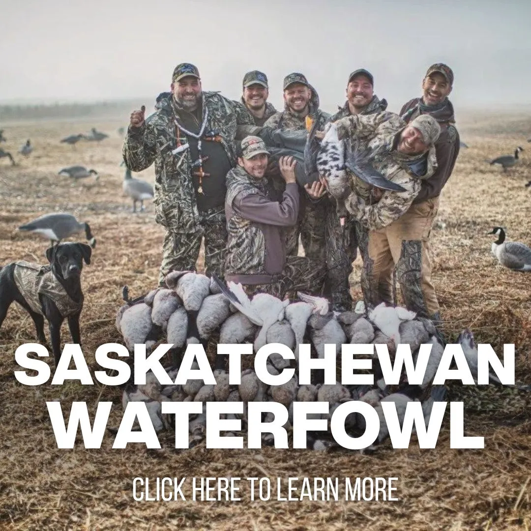 Saskatchewan Waterfowl