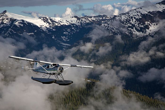 Argentina wing shooting 