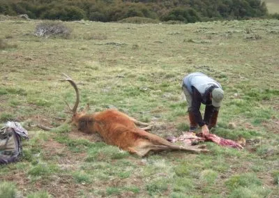 big game hunt