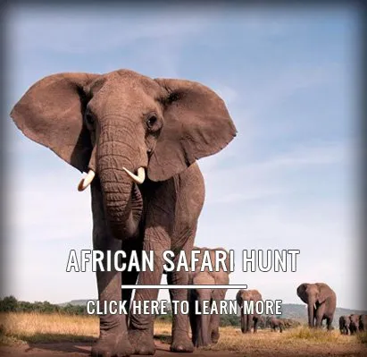 AFRICAN SAFARI HUNT