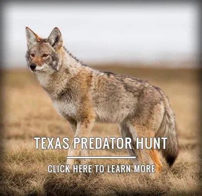 TEXAS PREDATOR HUNT<br />

