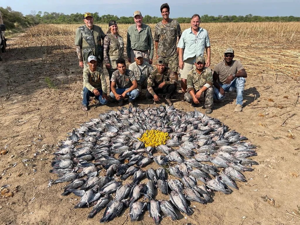 bolivia dove hunting