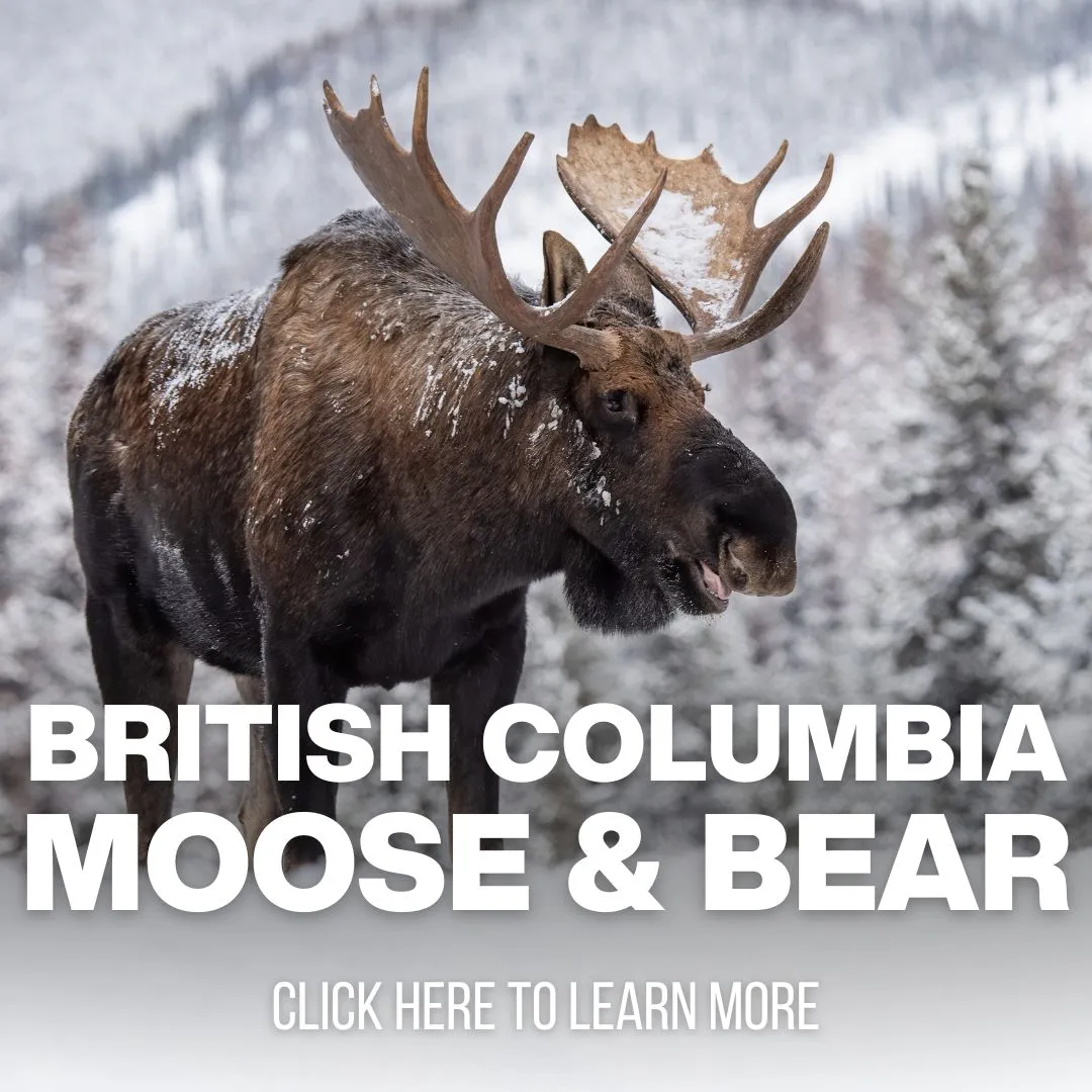 xr:d:DAF8ydIYrFQ:87,j:3997369109073444747,t:24041014 Black Bear Hunting