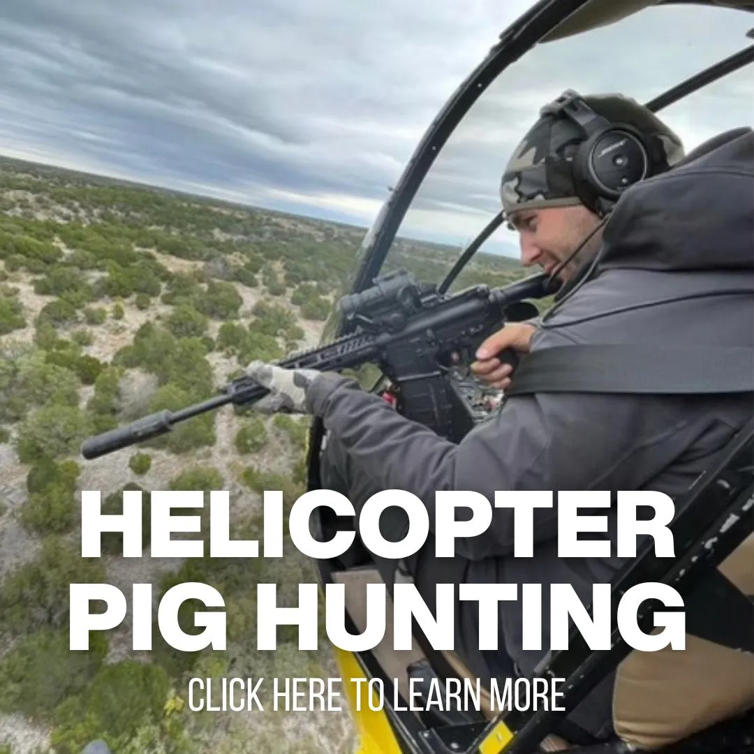 xr:d:DAF8ydIYrFQ:87,j:3997369109073444747,t:24041014 Red Stag Hunting